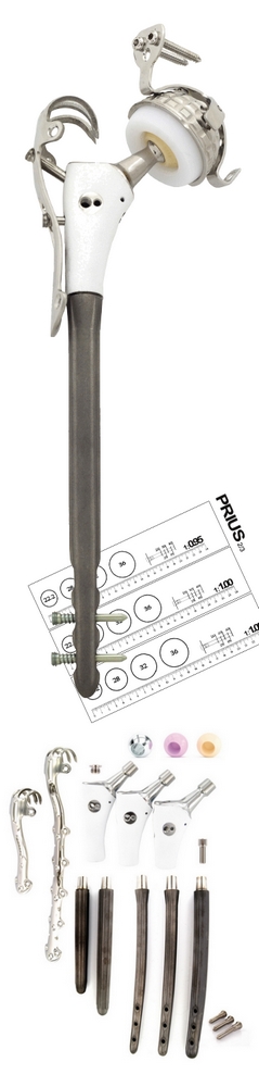 PRIUS-image